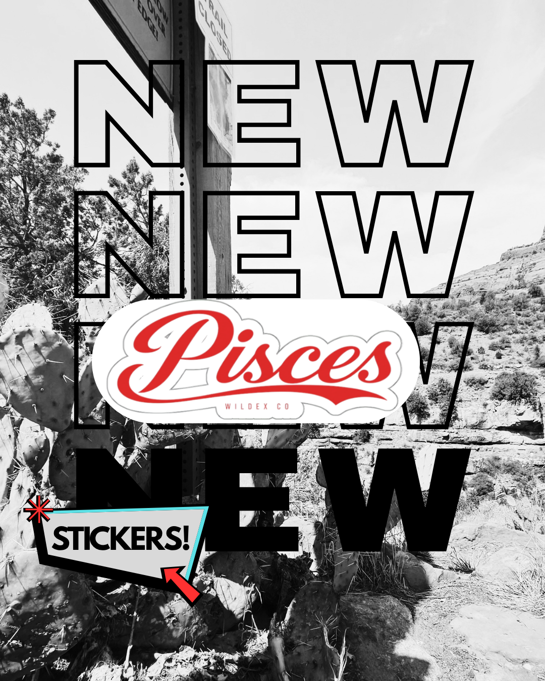 Pisces Sticker - WILDEX CO.