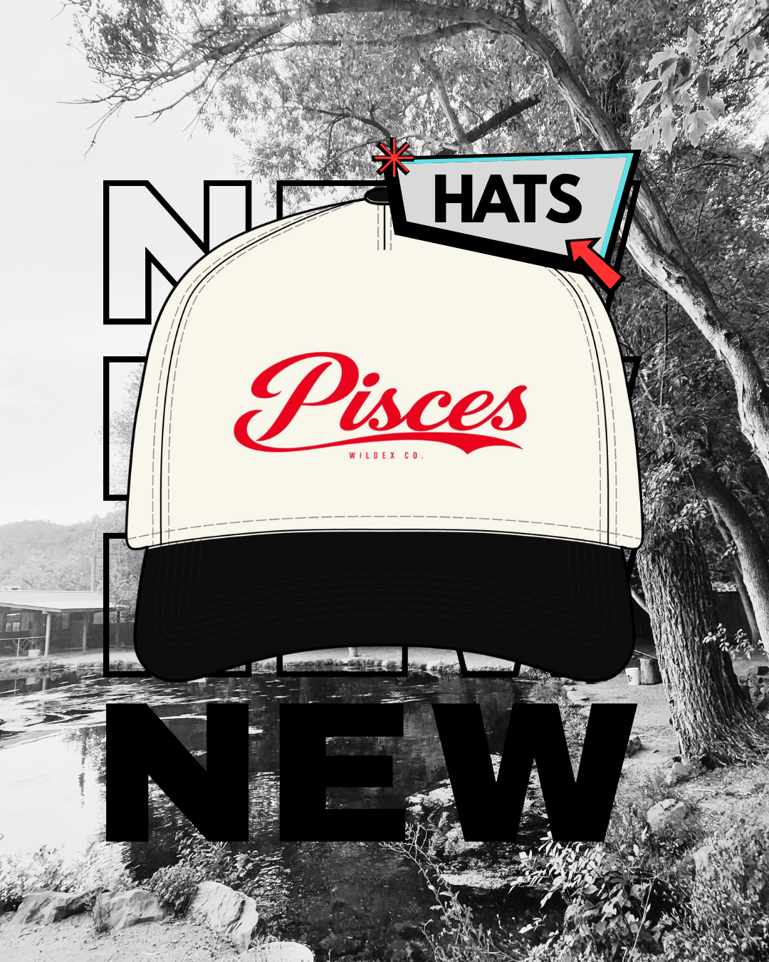 Pisces Two Tone Cap | WILDEX CO.