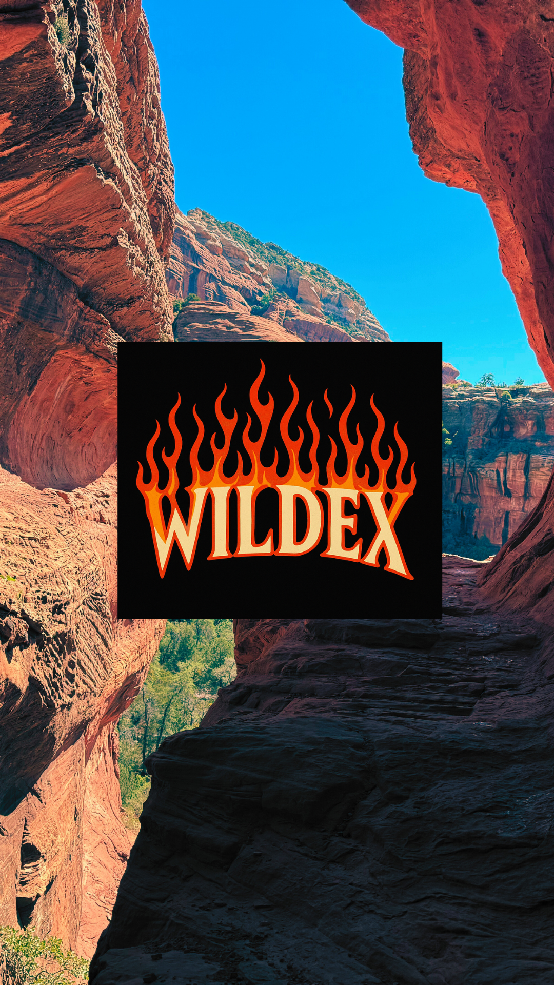 Welcome to the Vibe Unisex Hooded Long Sleeve Tee, Casual Wear, Street Style, Graphic Hoodie, Perfect for Festivals, Everyday Comfort