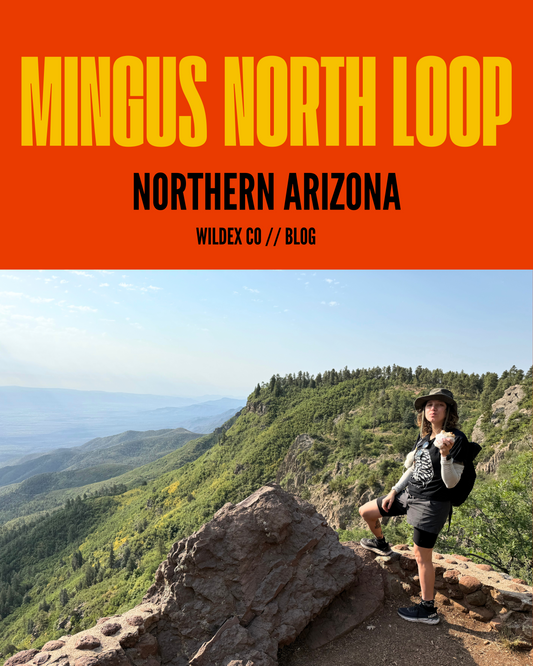 North Mingus Loop – Prescott National Forest