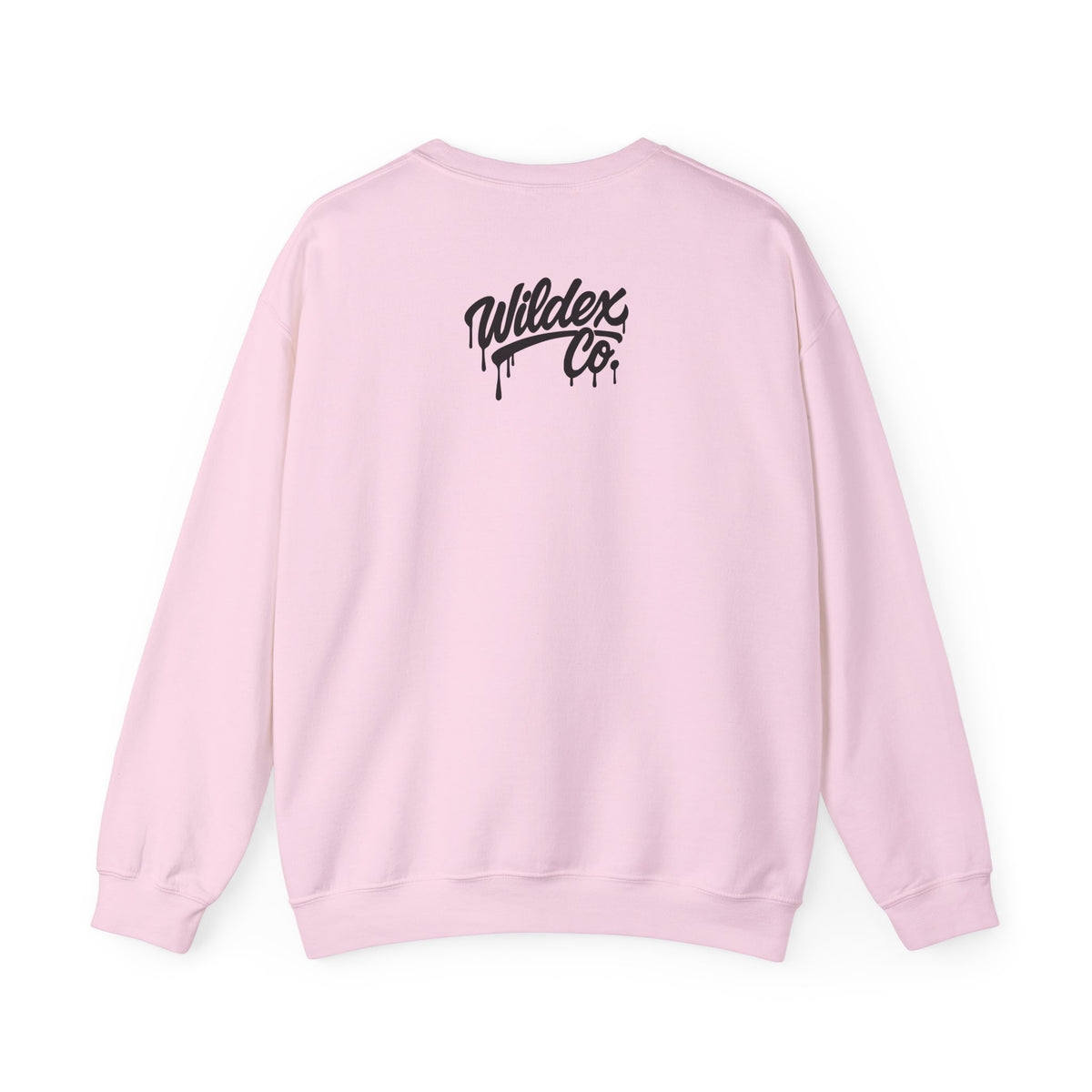 Secret Haunt Society 2026 Crewneck Sweatshirt back view