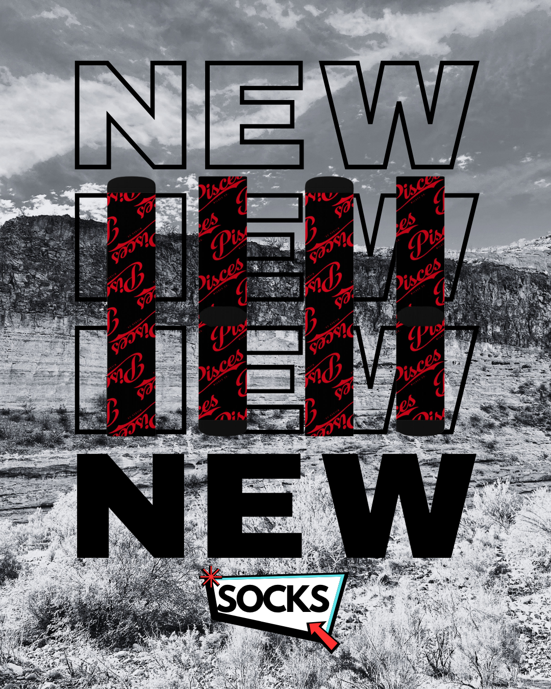 Pisces  Socks | WILDEX CO.
