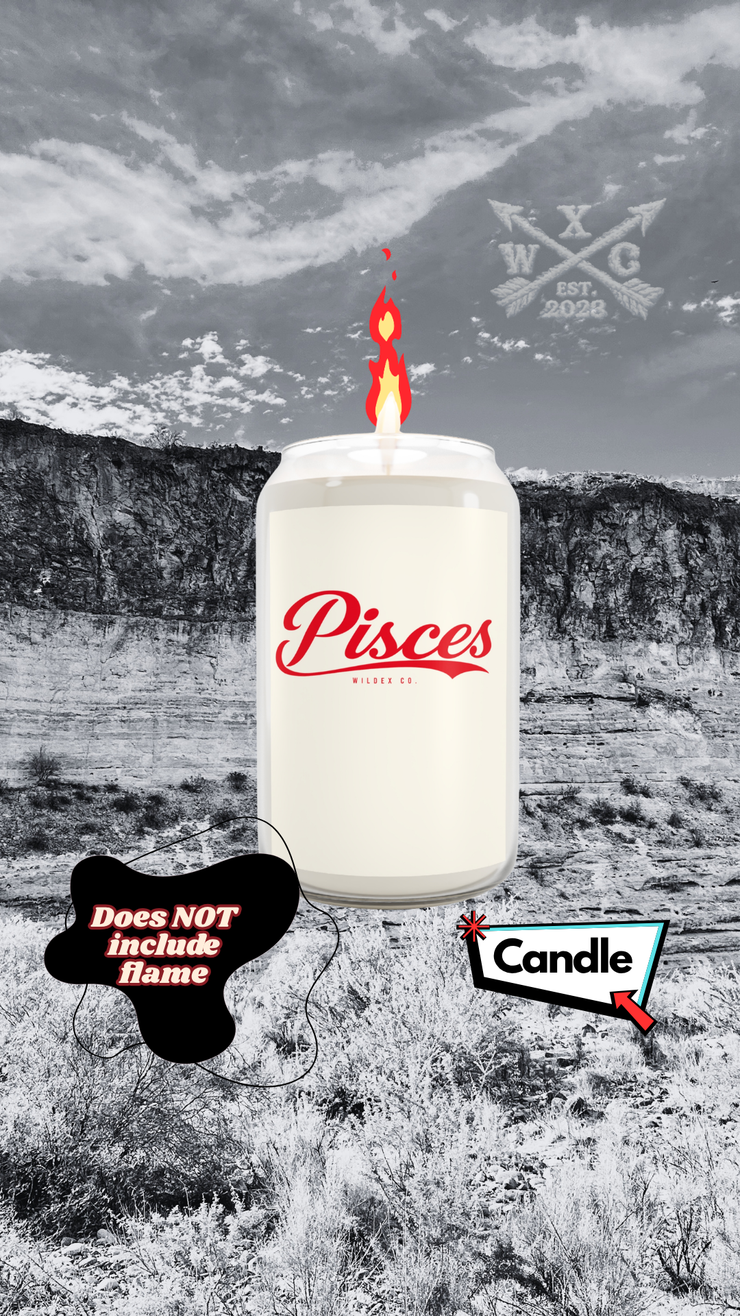 Pisces Dreamers Club Candle |  WILDEX CO.