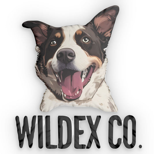 Custom Shaped Pillows