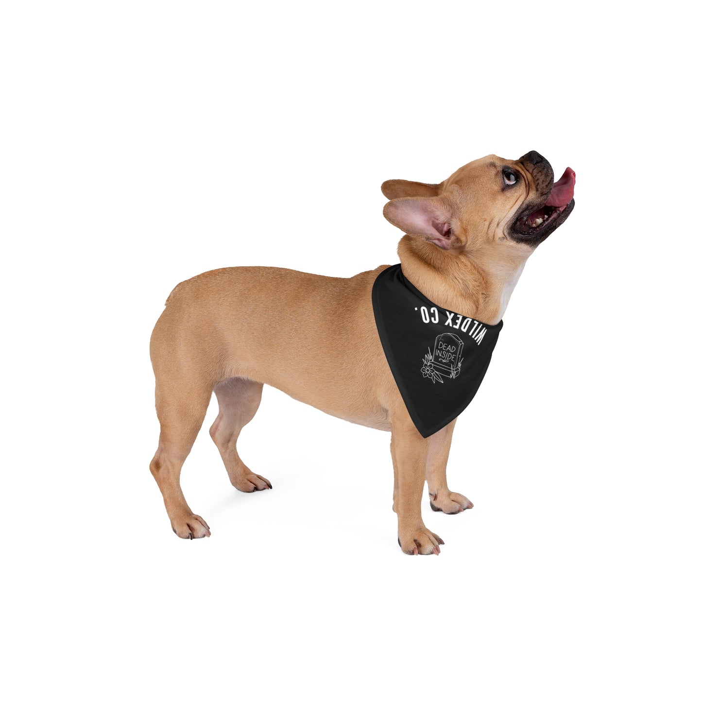 WildEx Co Pet Bandana