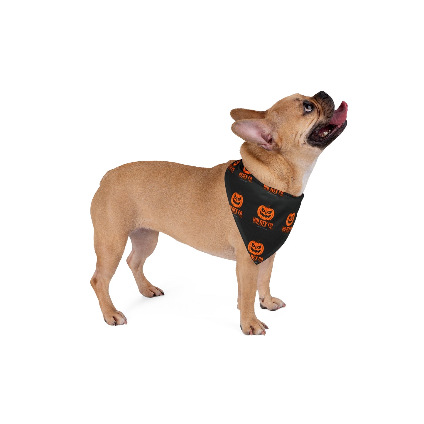 Halloween Pet Bandana - Spooky Design for Dogs and Cats, Fall Pet Accessory, Trick or Treat, Seasonal Dog Gear, Pet Costume