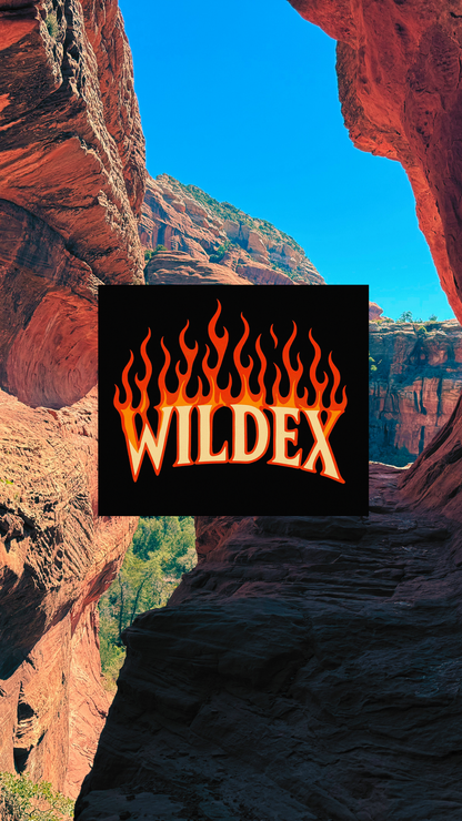 Welcome to the Vibe Unisex Hooded Long Sleeve Tee, Casual Wear, Street Style, Graphic Hoodie, Perfect for Festivals, Everyday Comfort