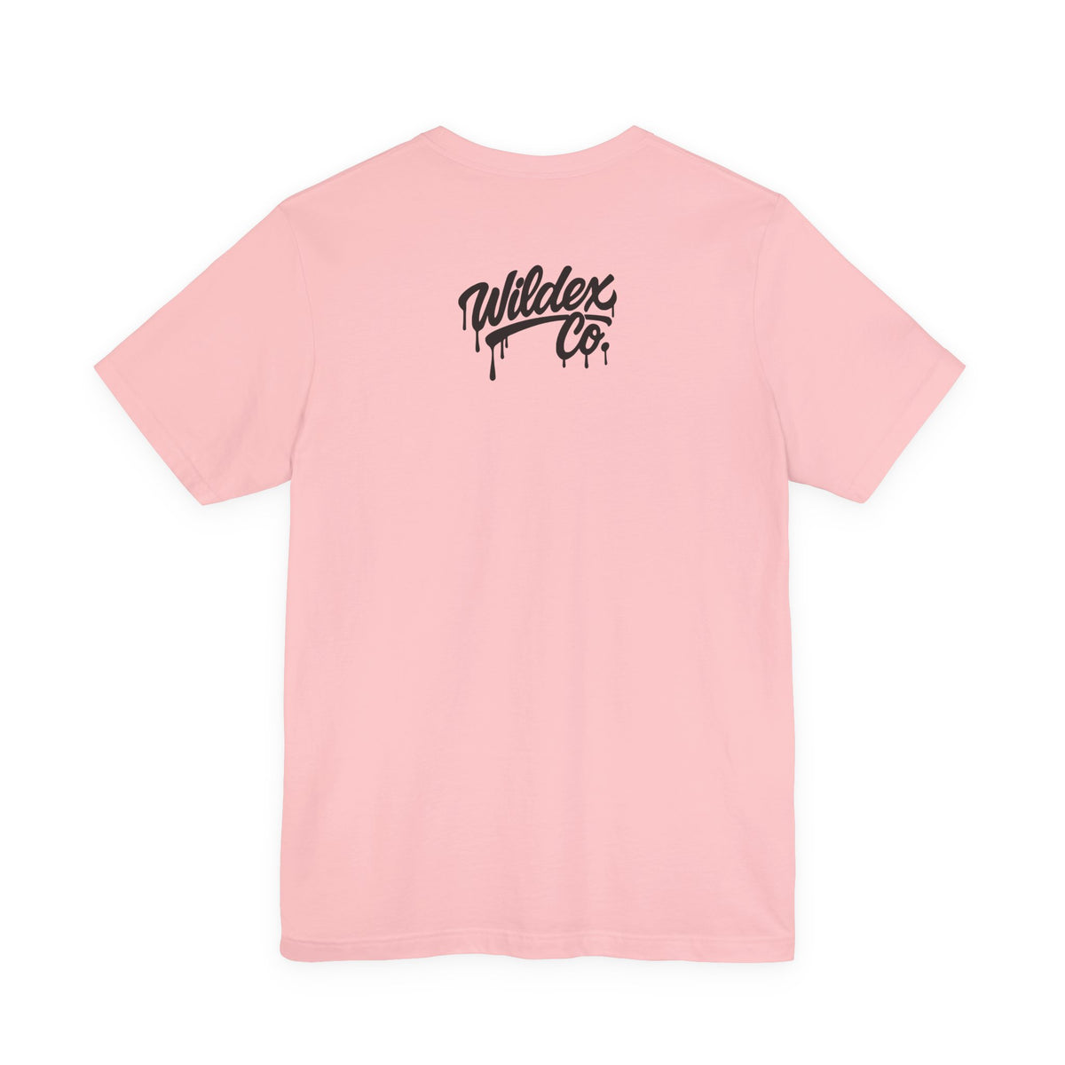 Classic Unisex Jersey Short Sleeve Tee back view